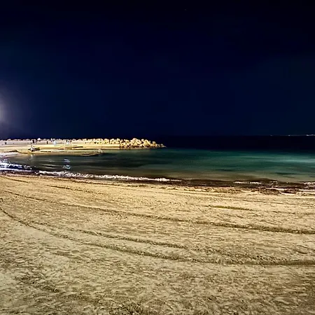 公寓 La Casa De Nicolas 托雷维耶哈